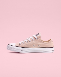 Converse Chuck Taylor All Star Seasonal Color Férfi Rövidszárú Bézs | WSCVKPB-HU